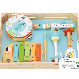 Music Instrument Set